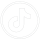 tiktok_icon